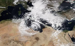 罕見「地中海氣旋」登陸北非沙漠！專家揭「超嚴苛」生存條件