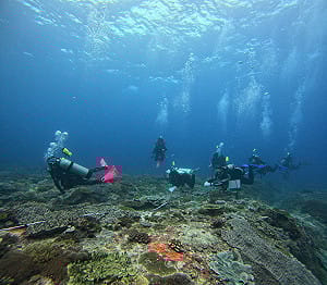 國家公園署致謝志工守護東沙環礁  兩年成功移除近6萬隻棘冠海星
