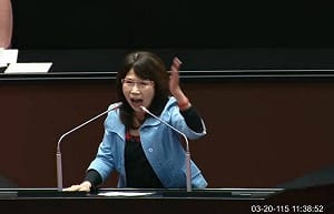 (影)綠委嗆「分貝比黃國昌還大」的陳昭姿  曾為一邊一國理事長 現在還支持嗎？
