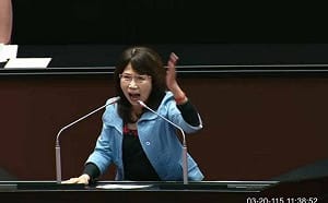 (影)綠委嗆「分貝比黃國昌還大」的陳昭姿  曾為一邊一國理事長 現在還支持嗎？