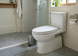 大便太用力小心馬桶上猝死！醫師「這三點」提醒：心血管疾病者要注意