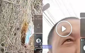 自稱義消在台中公墓直播縱火！警：若有實證將依法偵辦