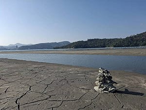 日月潭乾旱清淤！九蛙疊像「底座蛙王」重見天日