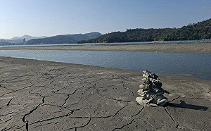 日月潭乾旱清淤！九蛙疊像「底座蛙王」重見天日