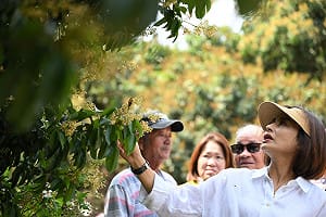 強化農民復耕韌性    邱議瑩爭取農災補助加碼、申請簡化  