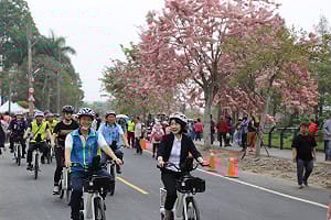 2026參山騎旅首發！二水粉紅花旗木鐵道美景 體驗百年水圳文化