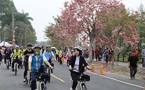 2026參山騎旅首發！二水粉紅花旗木鐵道美景 體驗百年水圳文化