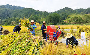 . 專論》中國退休金兩個世界：公務員6350元、農村223元