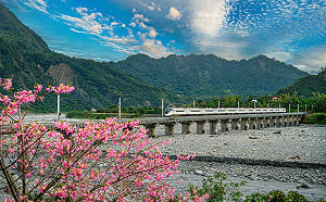 清境、阿里山都能去！Taiwan PASS升級版4/1開賣 一票搞定15景點交通