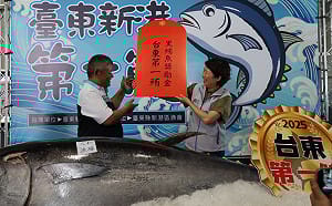 台東黑鮪魚季4/7開跑！今年第一鮪要超過175公斤才能奪冠 
