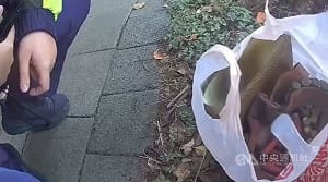 北市民眾發現路旁百枚子彈 清運業者和雇主遭送辦