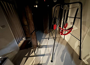 嫖客完事竟假冒警察搜包！外籍女提告 僭行公務員職權遭判拘役