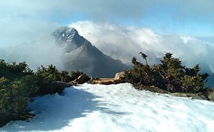 玉山又飄四月雪！積雪累積2公分 日出呈現唯美銀白世界