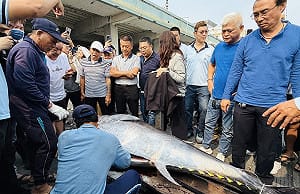 習近平稱歡迎台灣農漁產品  農業部：中方屢設限不符國際規範