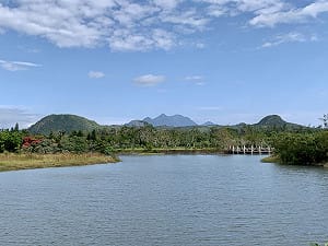 親子遊首選！台東森林公園週末嘉年華 野放小孩挑戰戶外冒險