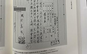 解密史料：「新潮流大姊大」袁嬿嬿化名「黃玉」是線民、邱義仁：我不相信