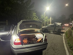 山老鼠夜盜貴重木　3人衝撞警車落網遭羈押