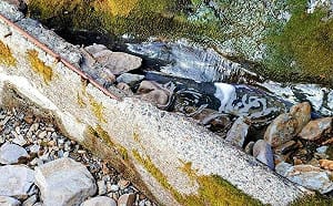 擺脫斷水困境！春雨助攻 玉山「排雲山莊」水源恢復出水