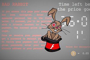 「壞兔子」來啦！ 偽裝Flash更新綁架電腦