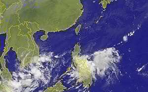 颱風名稱大解密   動植物、食物、星座通通有