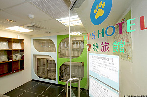 消基會抽查寵物旅館 竟有半數違規經營