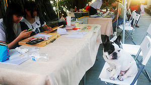 感恩陪伴  淡水海關碼頭舉辦寵物趴