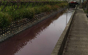 驚！台中后里排水溝遭廢水染紅  環保局：已查獲並開罰