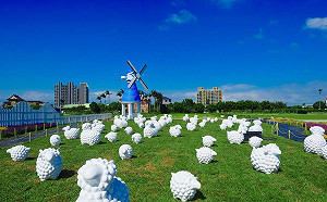 IG打卡新熱點！最美花海就在花彩節