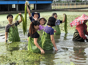 來去美濃當農夫！感受滇緬異國風