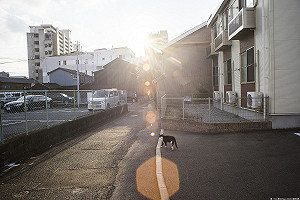 中午曬太陽  有效減緩憂鬱情緒