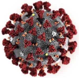 COVID又來了？！BBC：變種「蟬」現蹤23國WHO列入「監測」　兒童風險高於成人