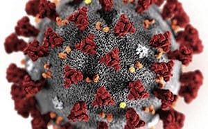 COVID又來了？！BBC：變種「蟬」現蹤23國WHO列入「監測」　兒童風險高於成人