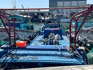 幼貓遭浸豬籠淹死引爆全網怒火！虐貓男遭逮依動保法查處