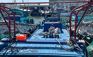 幼貓遭浸豬籠淹死引爆全網怒火！虐貓男遭逮依動保法查處