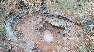 彰化男自學盜墓！鎖定金門623年古墓 失敗遭逮收押 