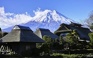 航典旅行社為癌末媽媽圓夢   母親月感動特惠沖繩價玩東京