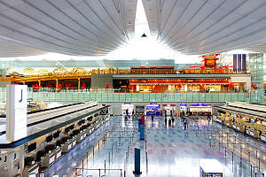 50歲台女行李箱藏4公斤「依托咪酯」  羽田機場當場被捕