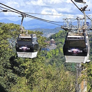 別白跑！貓纜明起檢修停駛5天 4/25恢復營運