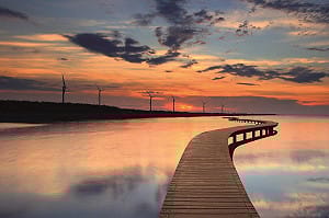 沒戴奧辛就沒事？高美濕地4噸廢土「佔犯罪總量一半」 中市府回應了 