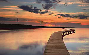 沒戴奧辛就沒事？高美濕地4噸廢土「佔犯罪總量一半」 中市府回應了 