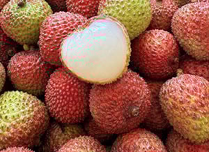 大樹玉荷包年產季僅14天    霸王級規格晉「國際級精品」