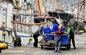 移工在台灣系列1》問題不在印度移工！商界籲配套鬆綁上限  勞團盼重視失聯「黑數」