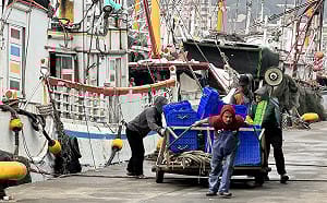 移工在台灣系列1》問題不在印度移工！商界籲配套鬆綁上限  勞團盼重視失聯「黑數」