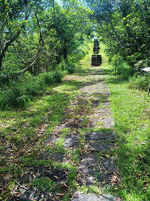 夏日限定！5至10月綠島生態慢旅  過山古道生態尋寶趣