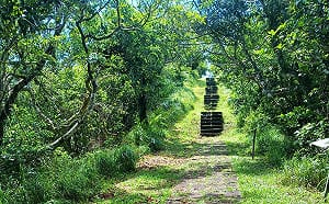 夏日限定！5至10月綠島生態慢旅  過山古道生態尋寶趣