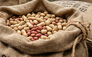 (影)美國花生零關稅大舉入侵？胡忠一曝數據：進口量根本不到1%