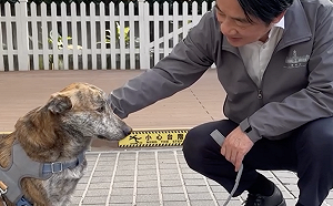 陳佩琪嘆柯文哲不如「殘障三腳狗」 賴清德秀斑斑影片：讓人牽掛又安心 