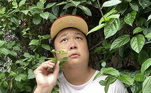 哈孝遠季後賽場邊辱罵裁判！籃協：採取法律手段