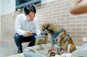 陳佩琪譏賴清德愛犬「斑斑」殘障  美女主播怒嗆：妳老公腳上腳鐐是自找的！