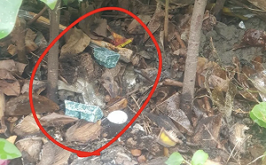 解決鼠患   北市府「公園投藥稱合法」惹議！ 議員批：沒同意亂丟藥